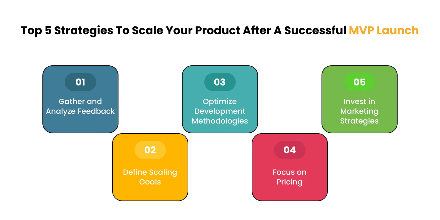 Guide to Developing Full-Fledged Product After MVP Launch